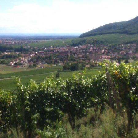 Gites & Chambes D'Hotes Fugler Orschwihr Екстериор снимка