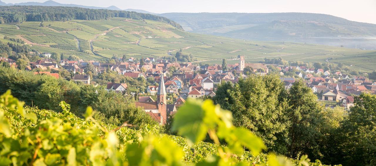 Gites & Chambes D'Hotes Fugler Orschwihr Екстериор снимка